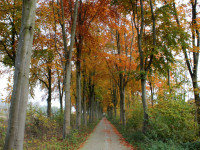 NEWSTART® - Kur (12.- 31.10.2025) Mecklenburg, D