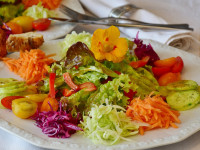 Basenfasten-Wander-Woche (08.- 15.03.2026), Mecklenburg, D