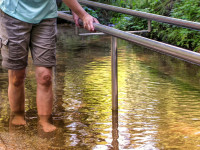 Naturkraft-Kur-Woche (15.- 29.03.2026) Mecklenburg, D