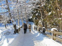 Basenfasten-Wander-Woche (15. - 22.02.2026), Mecklenburg, D